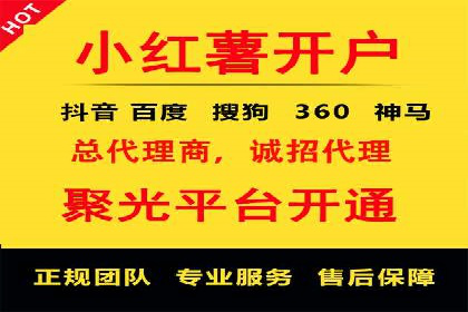 SEM营销案例：电商平台的流量密码